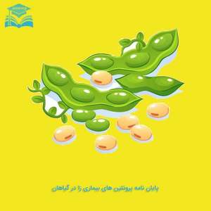 پایان نامه پروتئین های بیماری زا در گیاهان